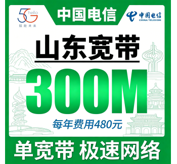 山东单宽带电信480元年享300Mbps