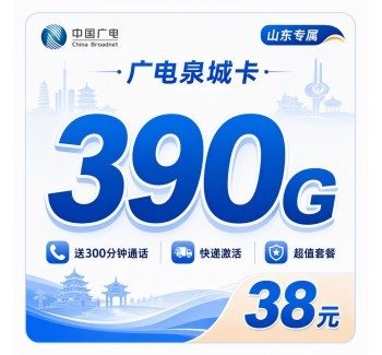 广电泉城卡38元390G通用流量+300分钟+山东专属！