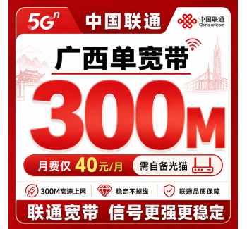 广西联通单宽带40元月享300Mbps