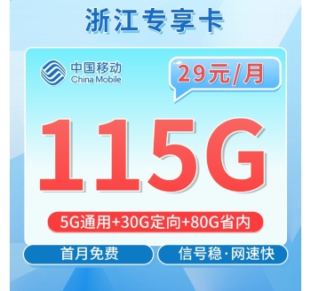 移动浙江卡29元115G