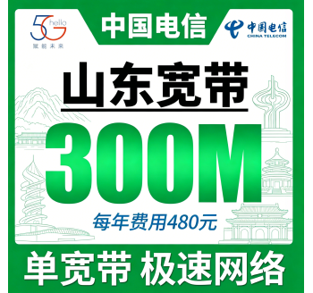 山东单宽带电信480元年享300Mbps