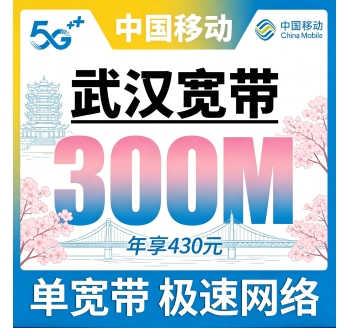 武汉单宽带移动430元年享300bps