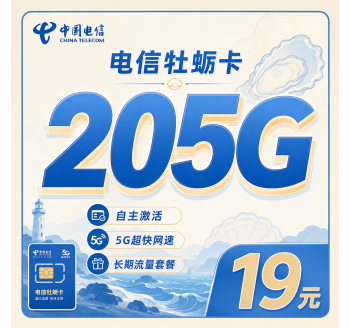 电信牡蛎卡19元205G全国流量+长期套餐+山东专属！