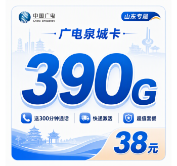 广电泉城卡38元390G通用流量+300分钟+山东专属！