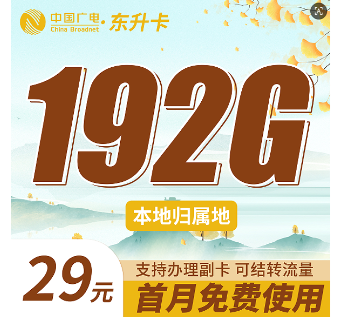 广电东升卡29元192G通用流量（流量支持结转）