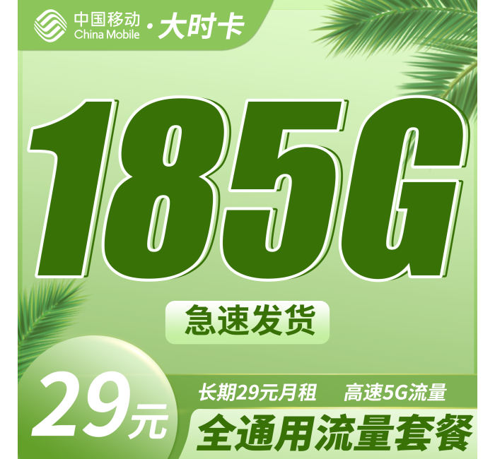 移动大时卡29元185G全通用流量