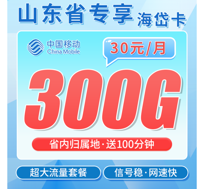 移动海岱卡30元300G+100分钟+山东专属！